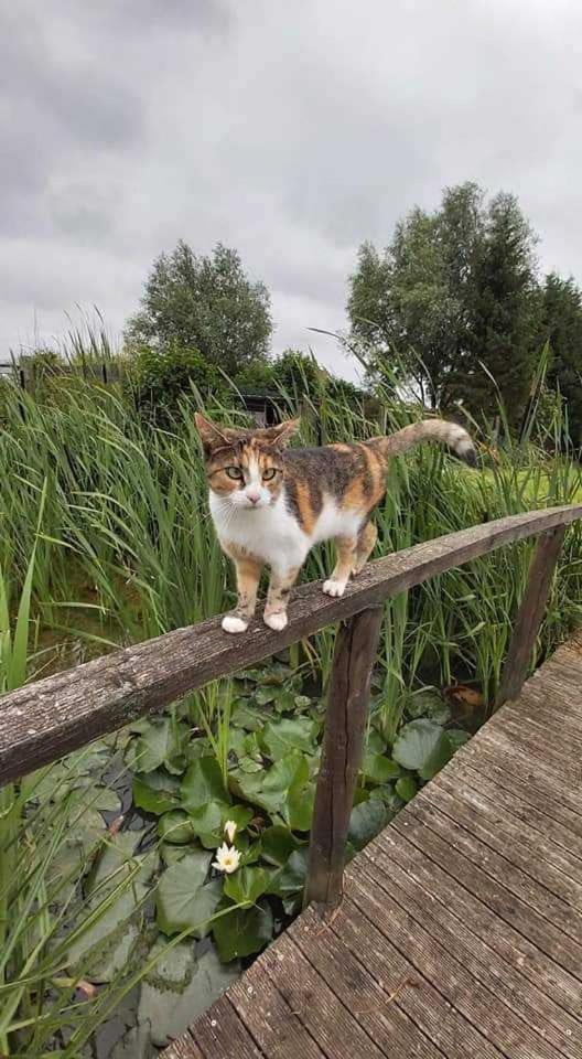 Gite Canard Fromelles 外观 照片